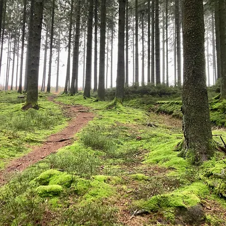 Aux Rives D'ambleve Semesterbostad Stavelot